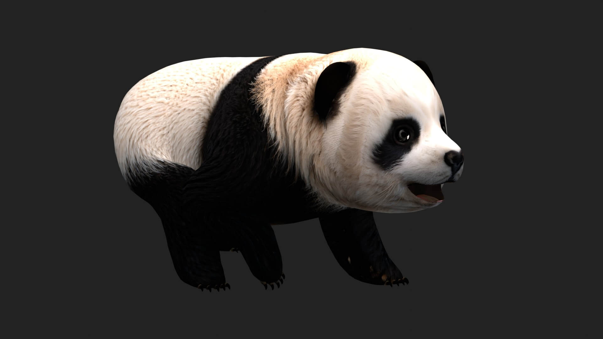 Panda A1 Animated - 3D Model by Animated3d