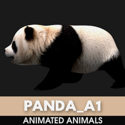 Panda A1 Animated
