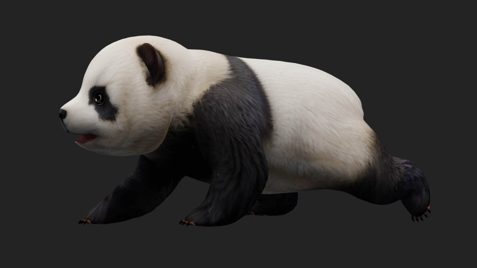 Panda A2 Animated - 3D Model by Animated3d