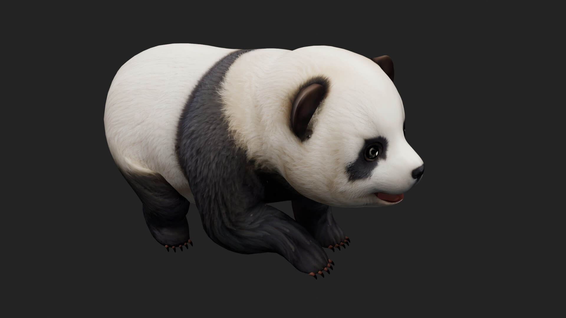 Panda A2 Animated - 3D Model by Animated3d