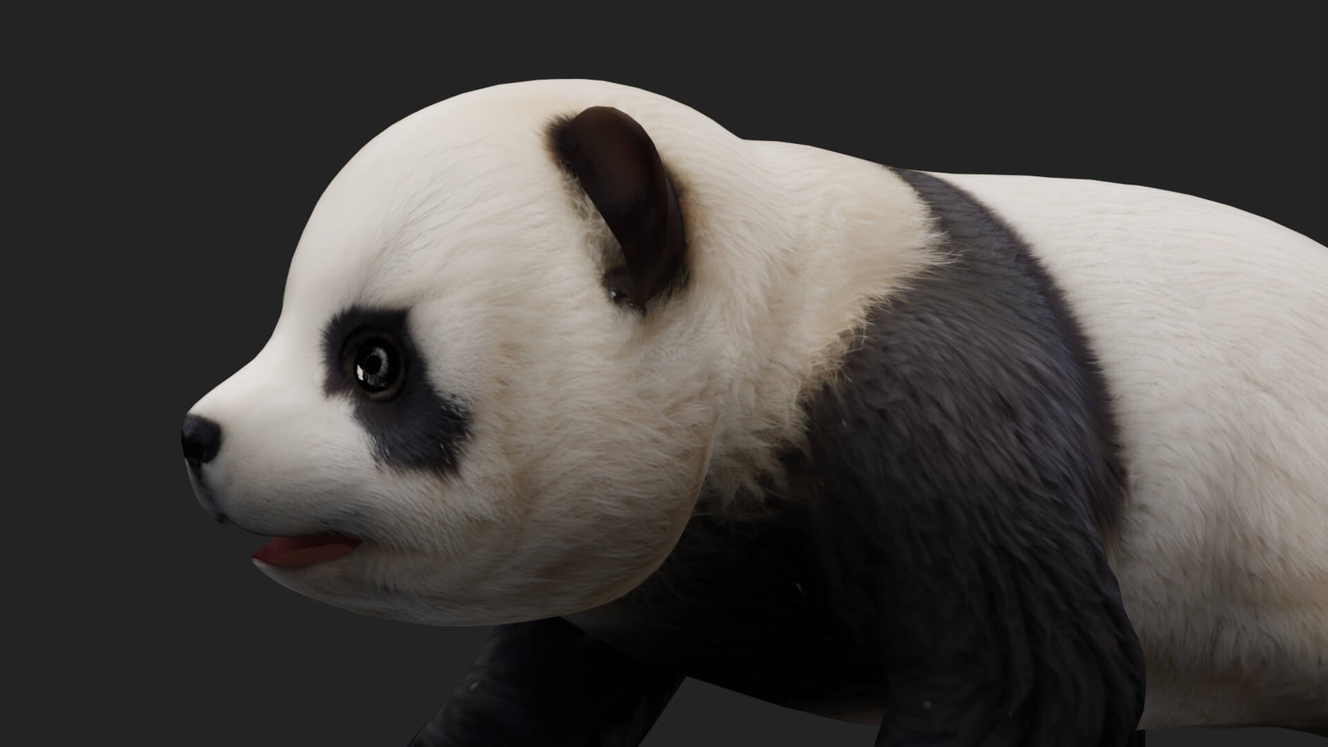 Panda A2 Animated - 3D Model by Animated3d