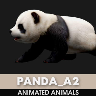 Panda A2 Animated
