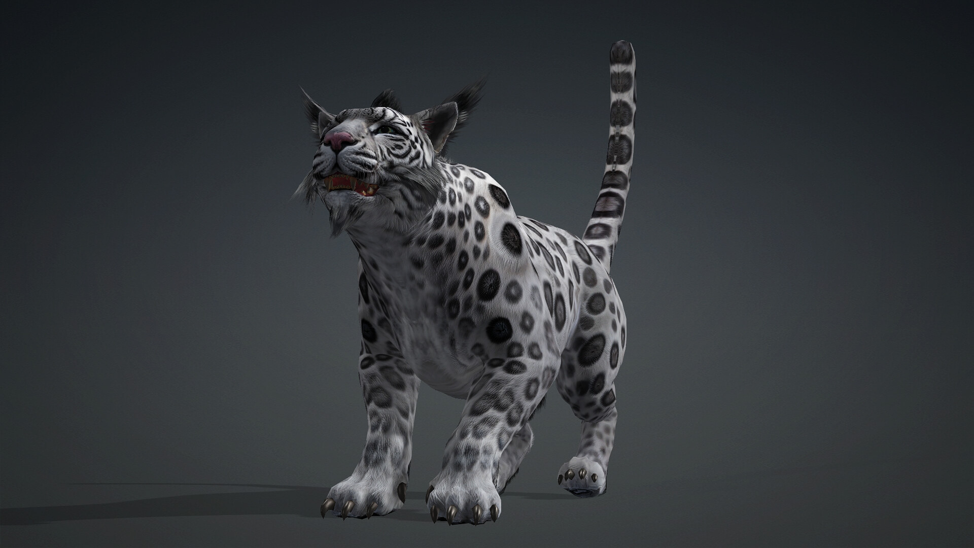 Panther-B3-Animated 3D Animation by Animated3d