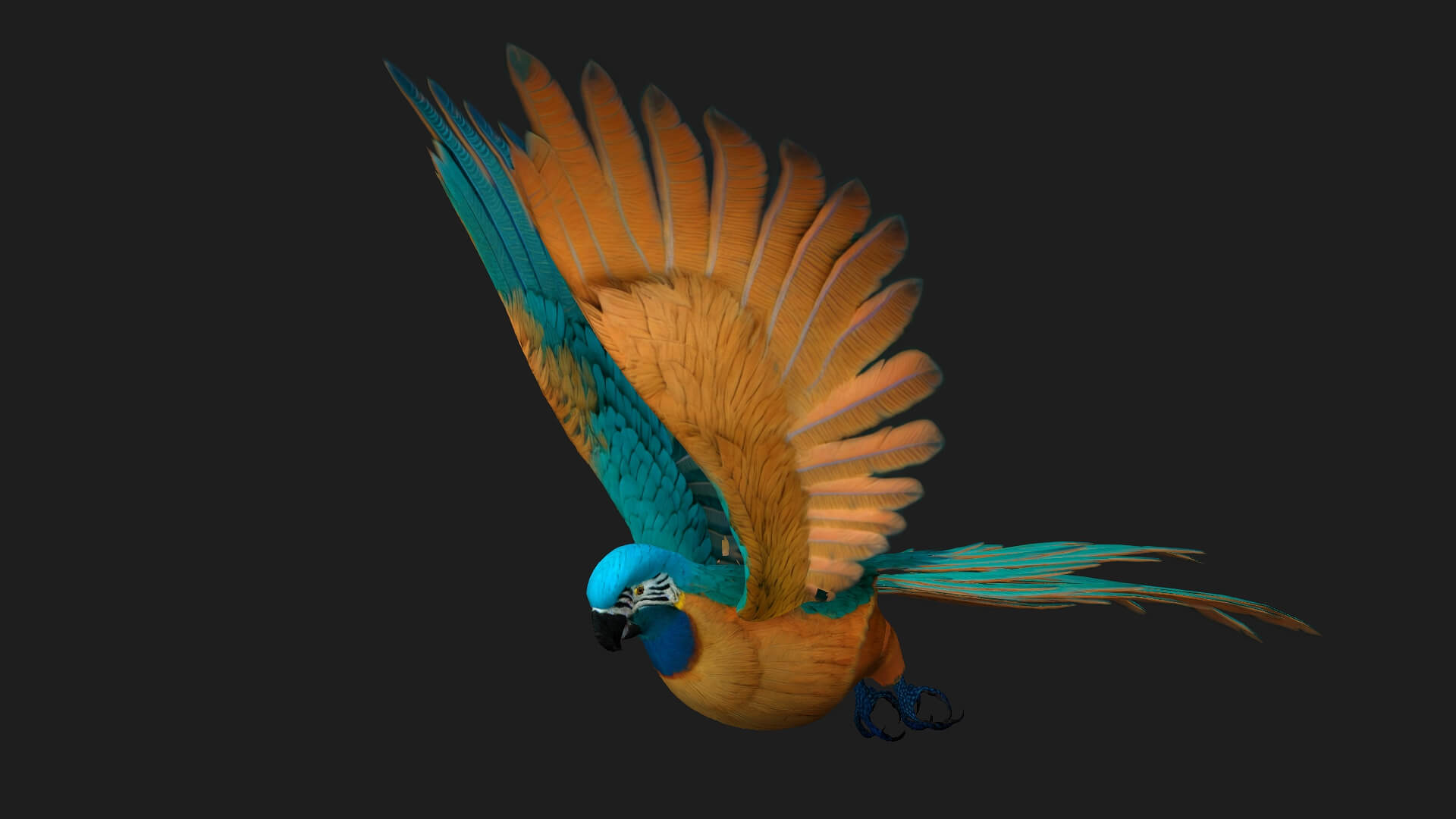 Parrot A1 Animated - 3D Model by Animated3d