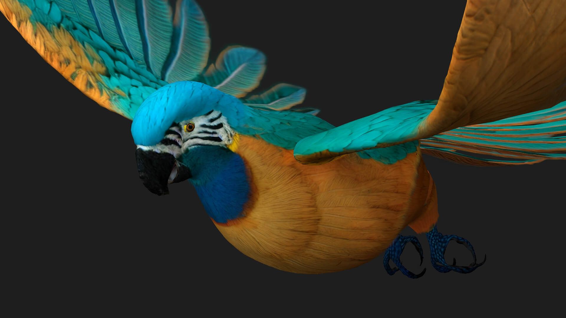 Parrot A1 Animated - 3D Model by Animated3d