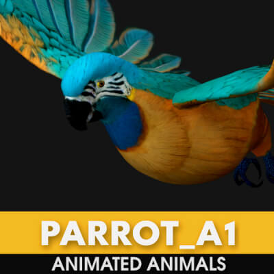 Parrot A1 Animated
