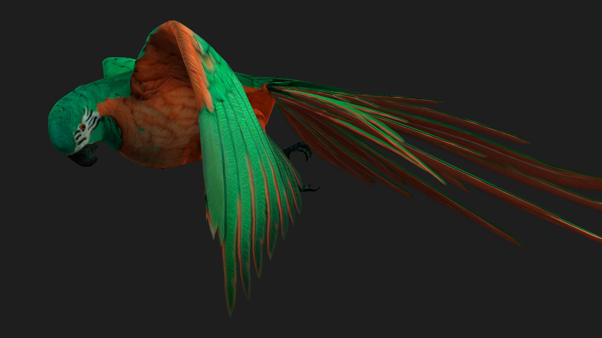 Parrot A2 Animated - 3D Model by Animated3d