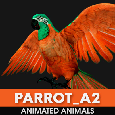 Parrot A2 Animated