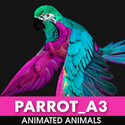 Parrot A3 Animated