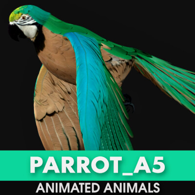 Parrot A5 Animated
