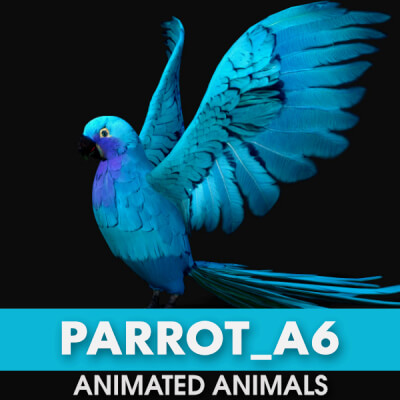 Parrot A6 Animated