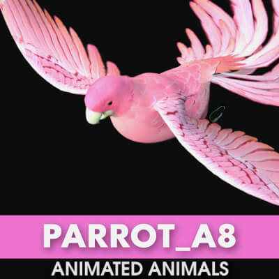 Parrot A8 Animated