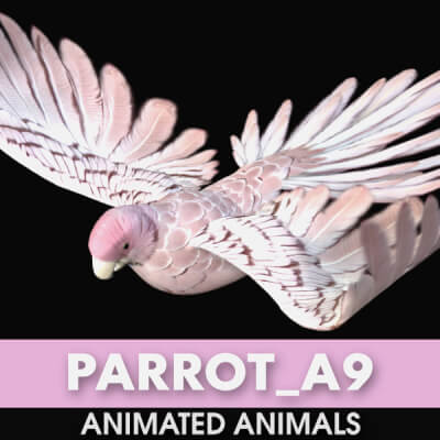 Parrot A9 Animated