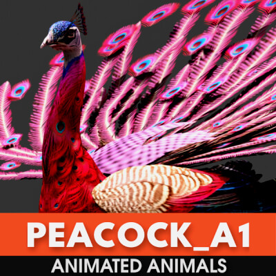Peacock A1 Animated