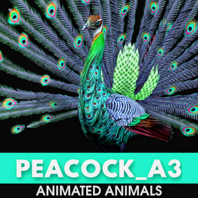 Peacock A3 Animated
