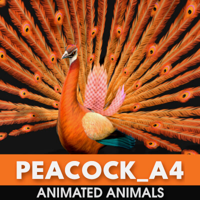 Peacock A4 Animated
