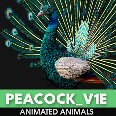 Peacock V1E Animated