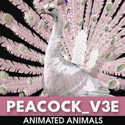 Peacock V3E Animated
