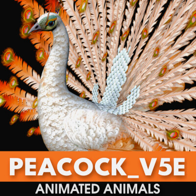 Peacock V5E Animated