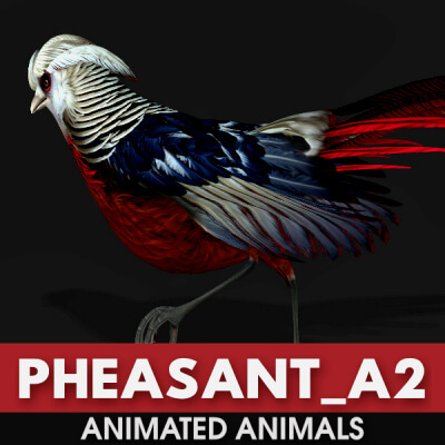 Pheasant A2 Animated