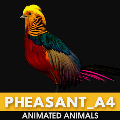 Pheasant A4 Animated