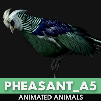 Pheasant A5 Animated