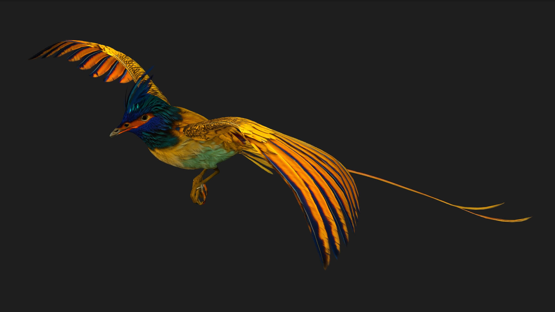 Pheasantbird A2 Animated - 3D Model by Animated3d