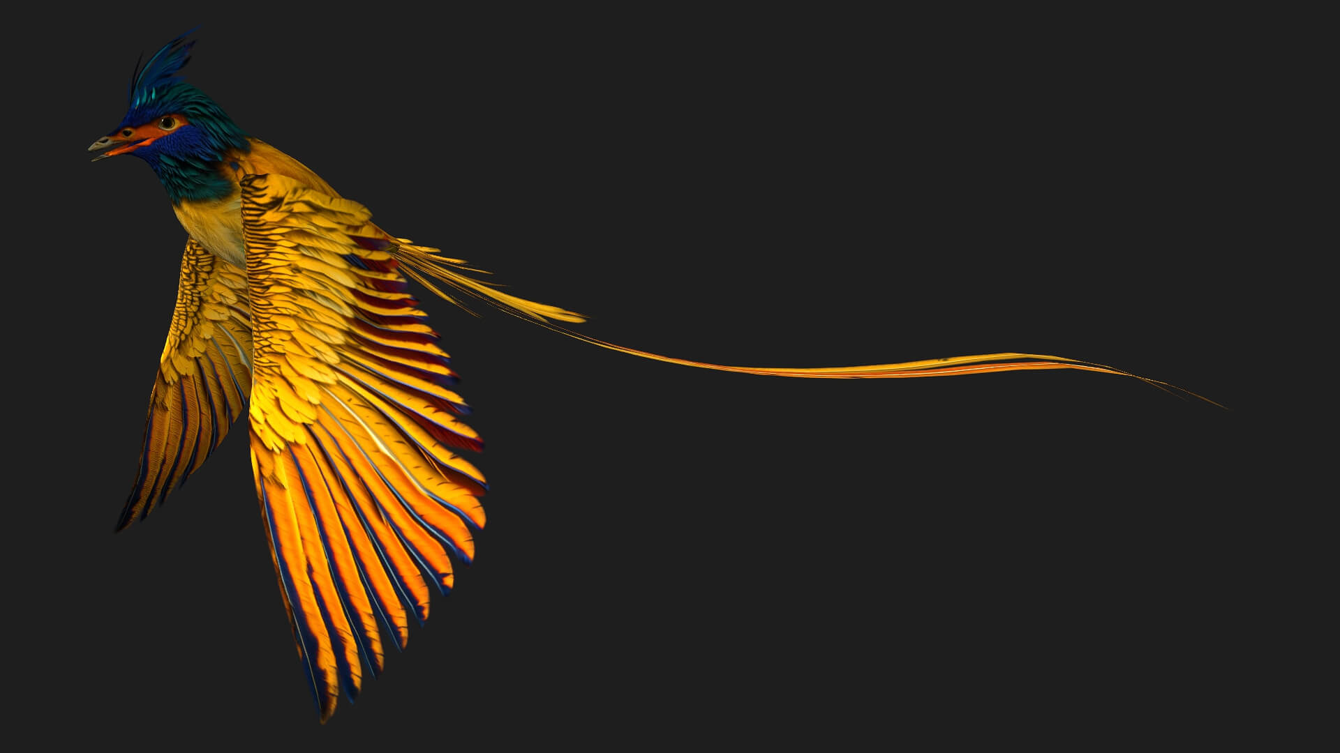Pheasantbird A2 Animated - 3D Model by Animated3d
