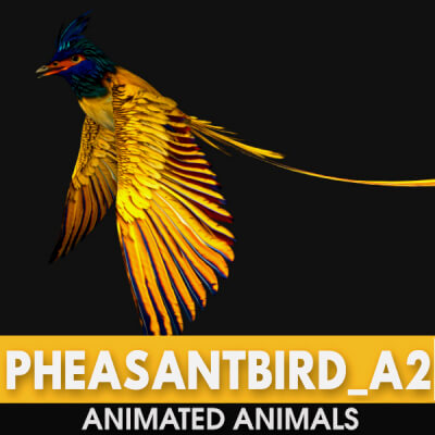 Pheasantbird A2 Animated