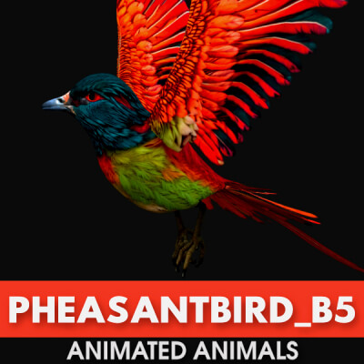 Pheasantbird B5