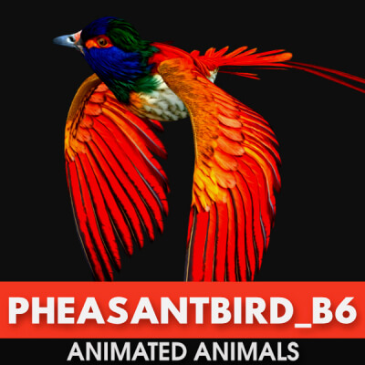 Pheasantbird B6