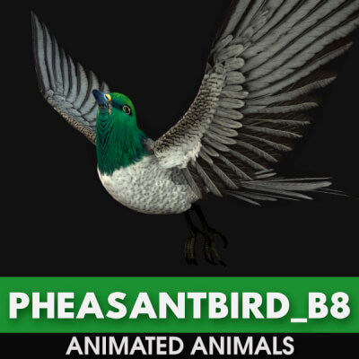 Pheasantbird B8