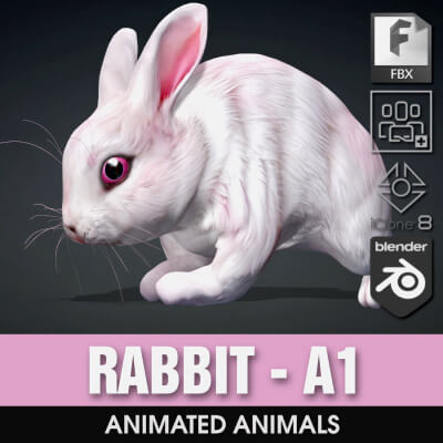 Rabbit-A1-Animated