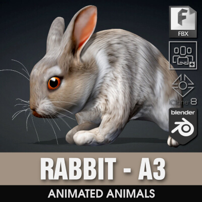Rabbit-A3-Animated