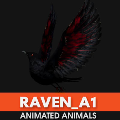 Raven A1 Animated