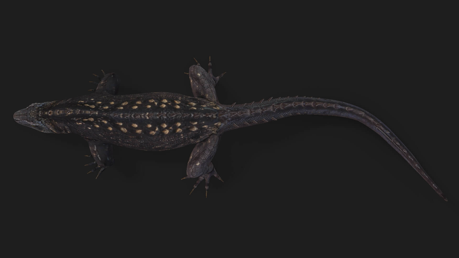 Reptiles-A1-Animated 3D Model by Animated3d