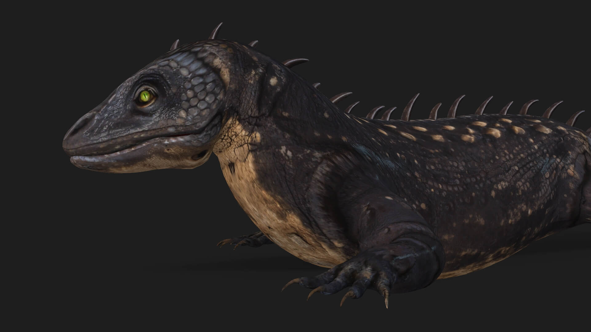 Reptiles-A1-Animated 3D Model by Animated3d