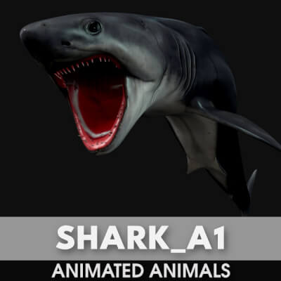 Shark-A1-Animated