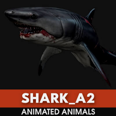 Shark-A2-Animated