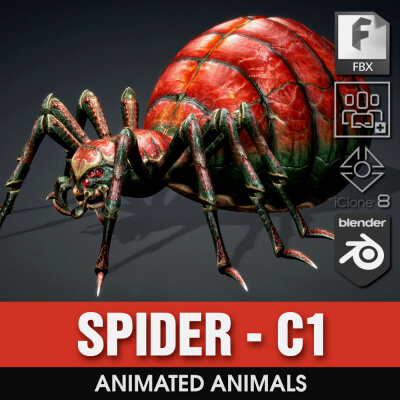 Spider-C1-Animated