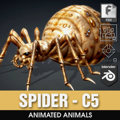 Spider-C5-Animated