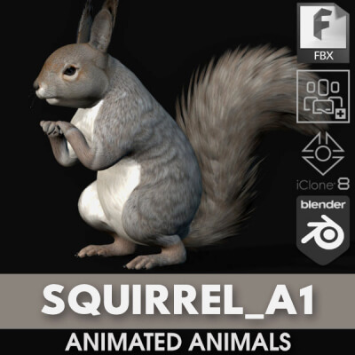 Squirrel-A1-Animated