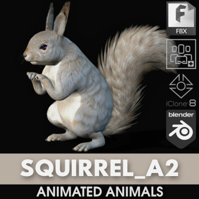 Squirrel-A2-Animated