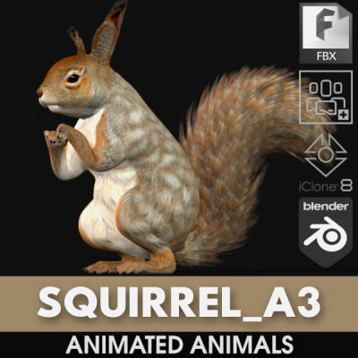 Squirrel-A3-Animated