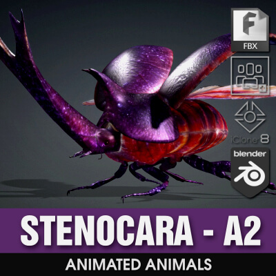 Stenocara-A2