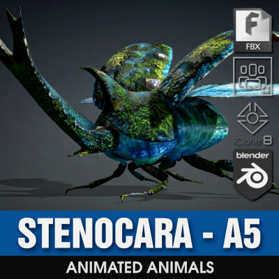 Stenocara-A5 by Animated3d