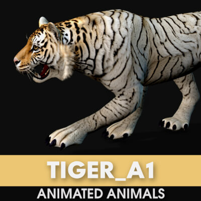 Tiger A1 Animated