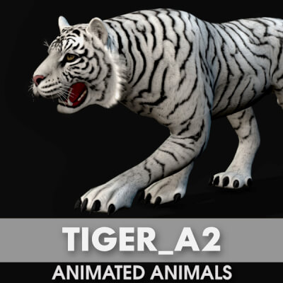 Tiger A2 Animated