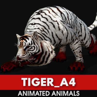 Tiger A4 Animated