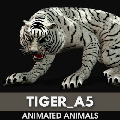 Tiger A5 Animated